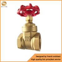 Water Supply Brass PPR Gate Valve Pn16 Pipe Fitting